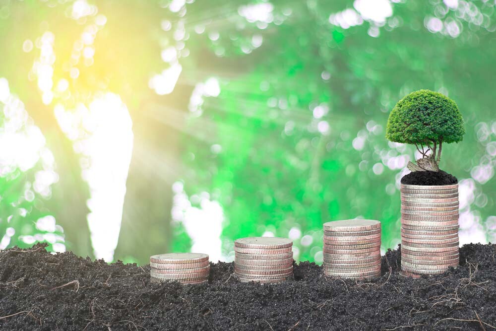 Conseil en création d’entreprise {{localite_seo1}}